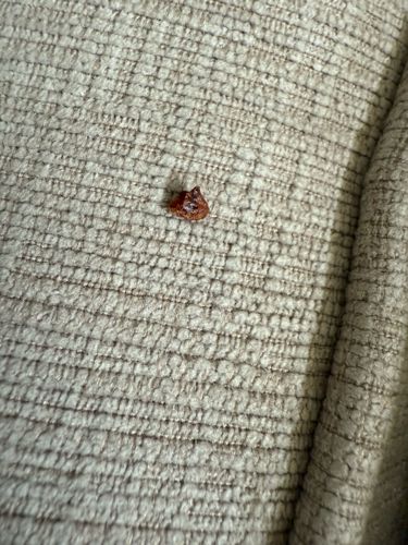 Unidentifiable Object/Debris