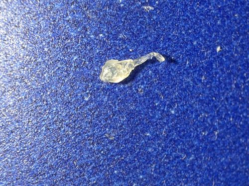 Unknown (Non-biological or partial debris)