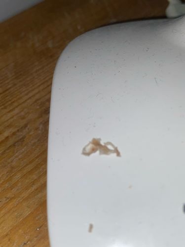 Inconclusive (Likely non-biological debris)