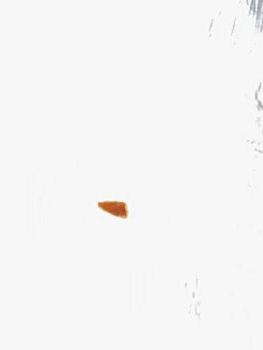 Unidentifiable Speck / Debris