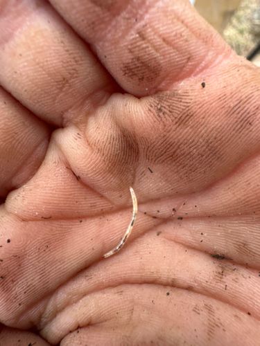 Unidentifiable Object