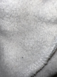 No insect or bug identifiable