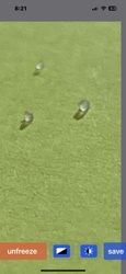 Dewdrops or Water Droplets