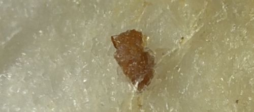 Not a bug (Debris/Crumb/Scab)