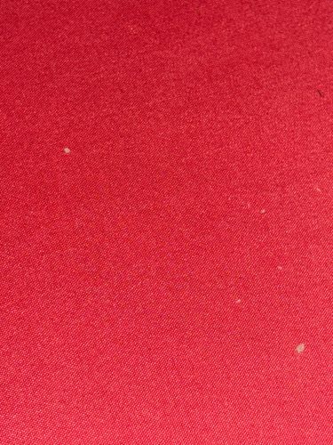 Carpet Beetle (likely Varied Carpet Beetle or Black Carpet Beetle larva)