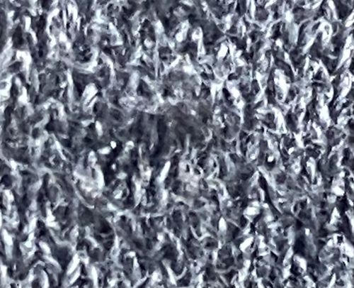 Webbing clothes moth