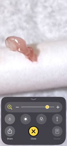 Slug