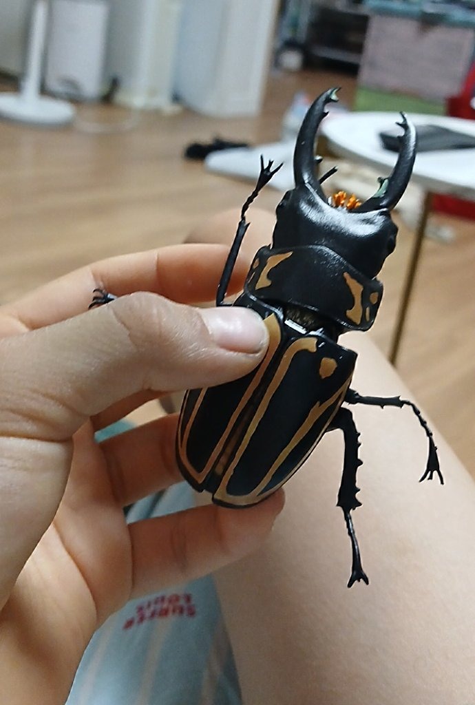 Giant stag beetle (likely artificially enlarged model)