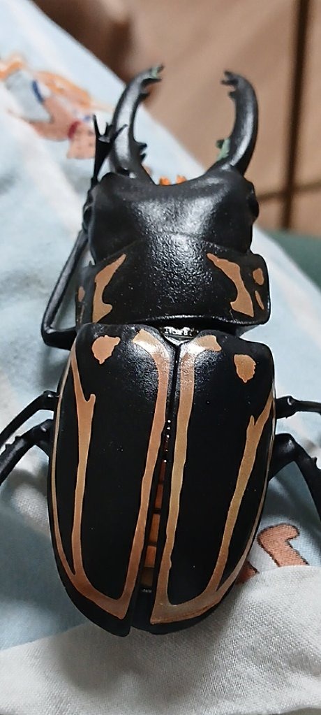 Golden flower chafer (likely)