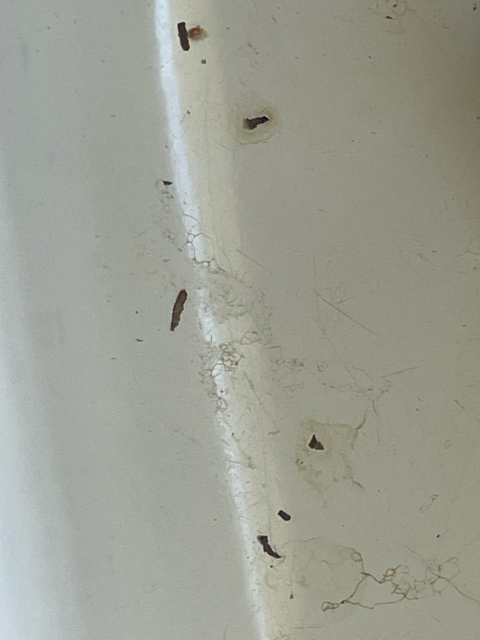 Household Casebearer
