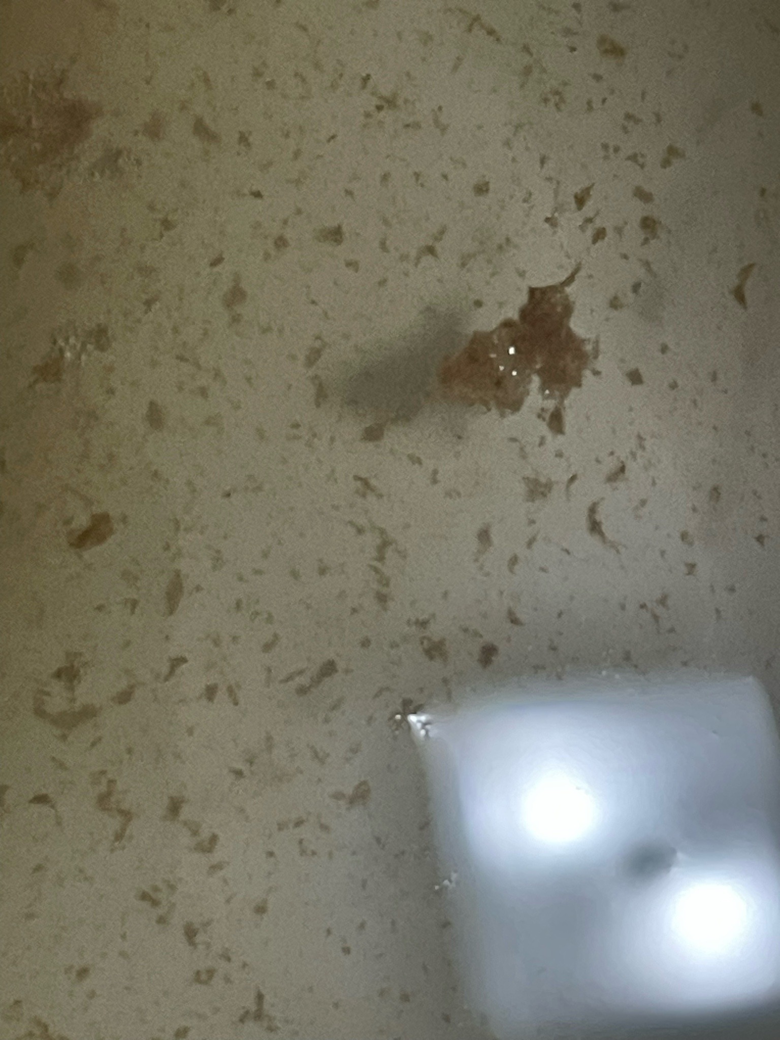 Inconclusive (Requires clearer image)