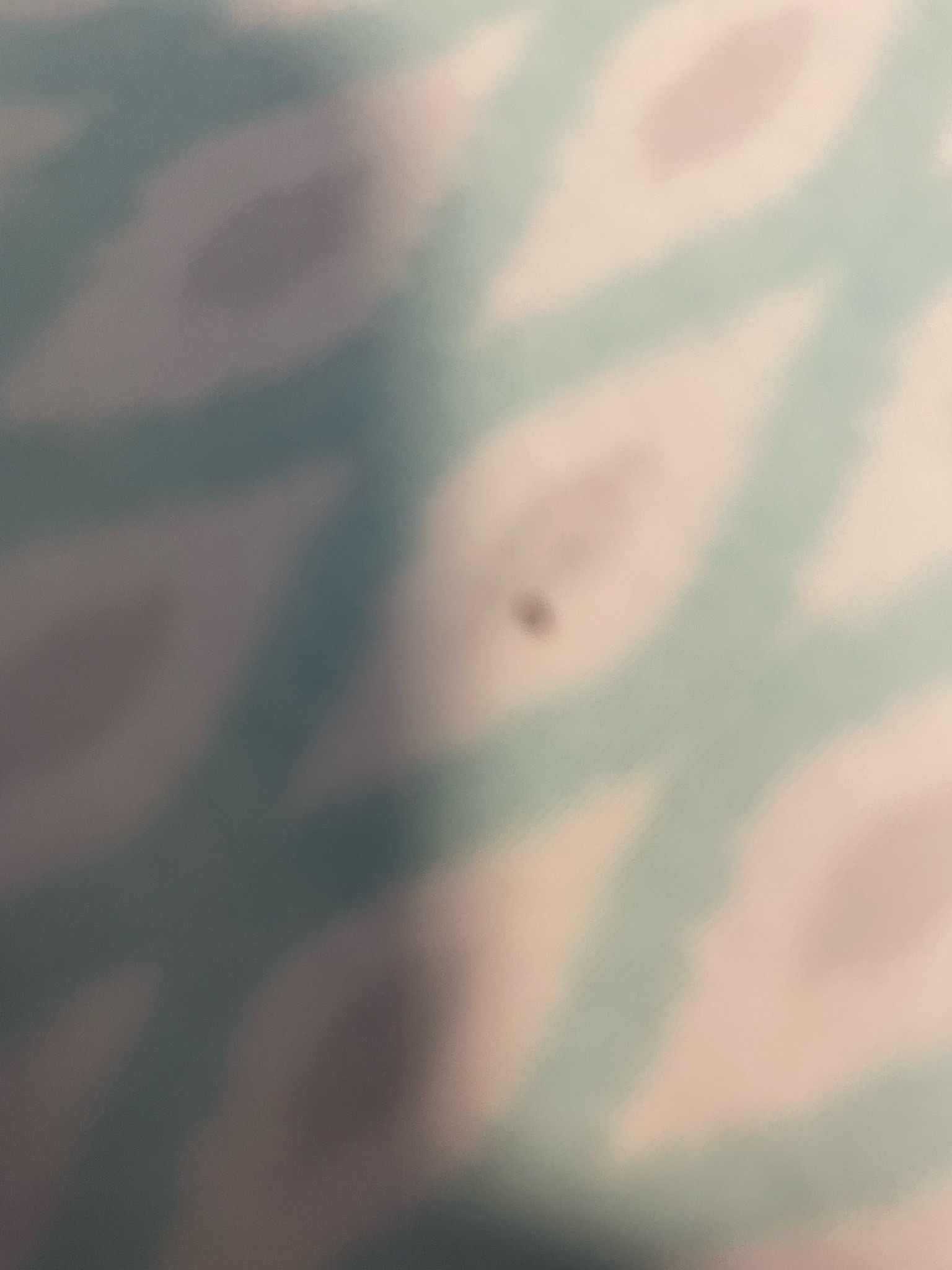 Inconclusive (Requires clearer photo)