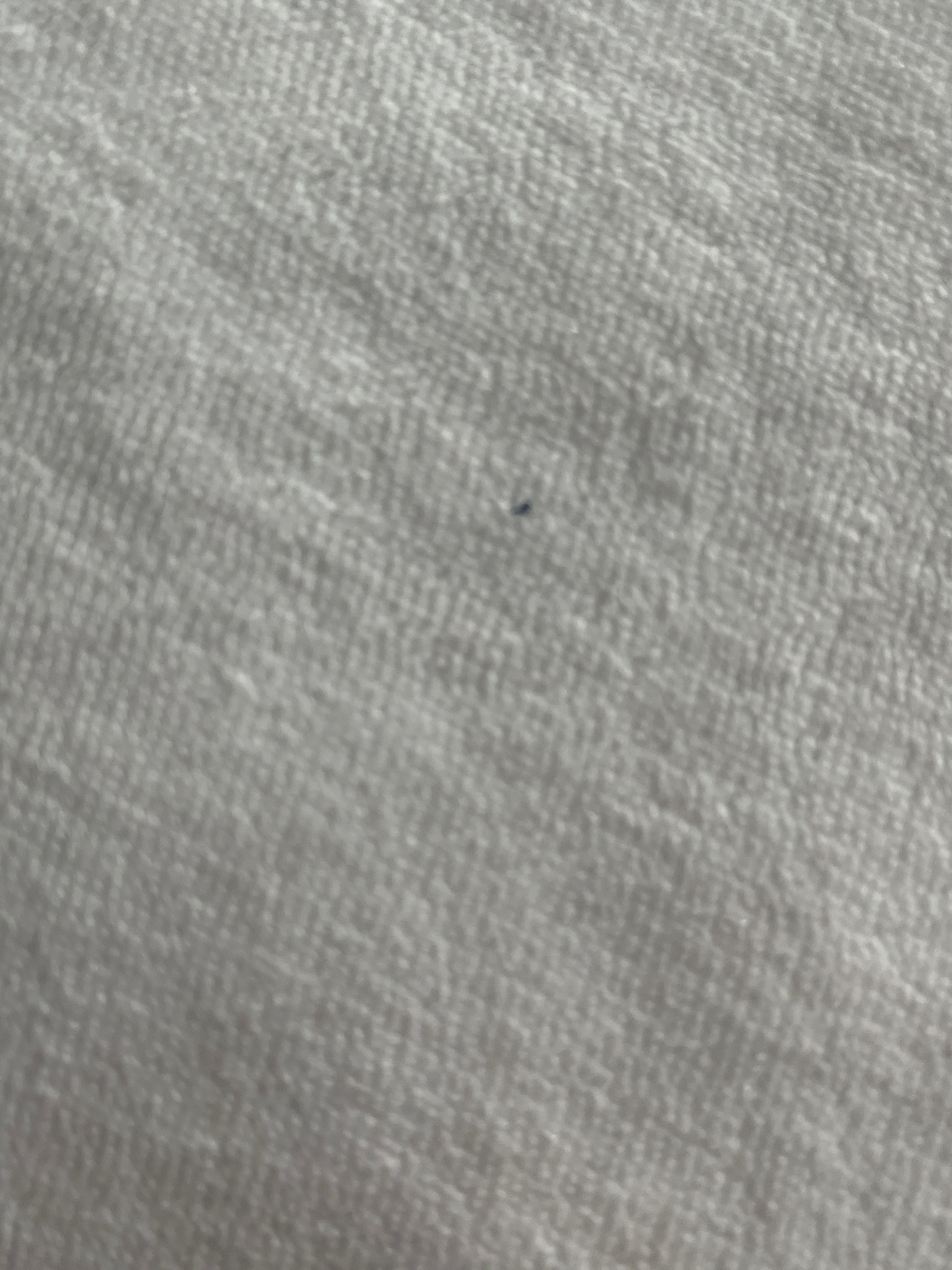 Indistinct tiny dark arthropod; possibly a small mite