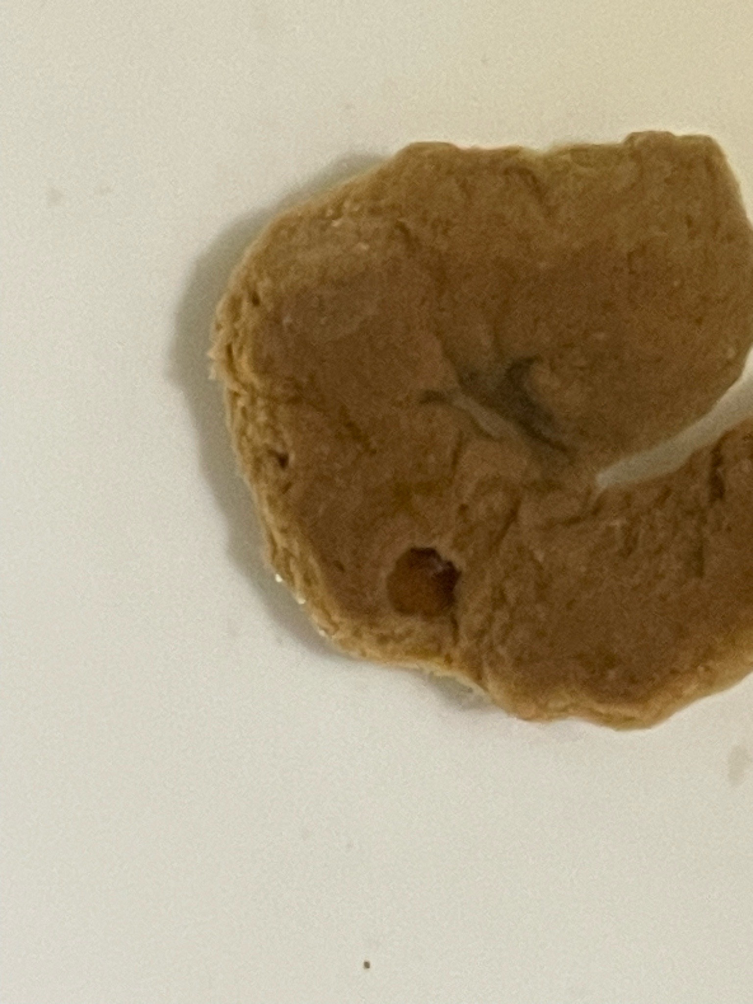 Non-living object / Food debris