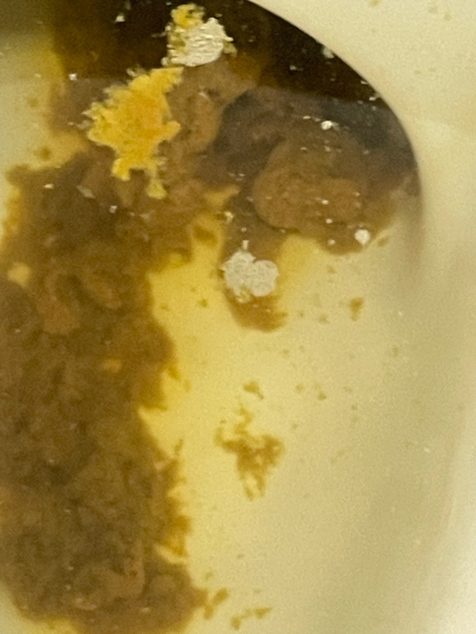 Non-living organic material (Not an insect)