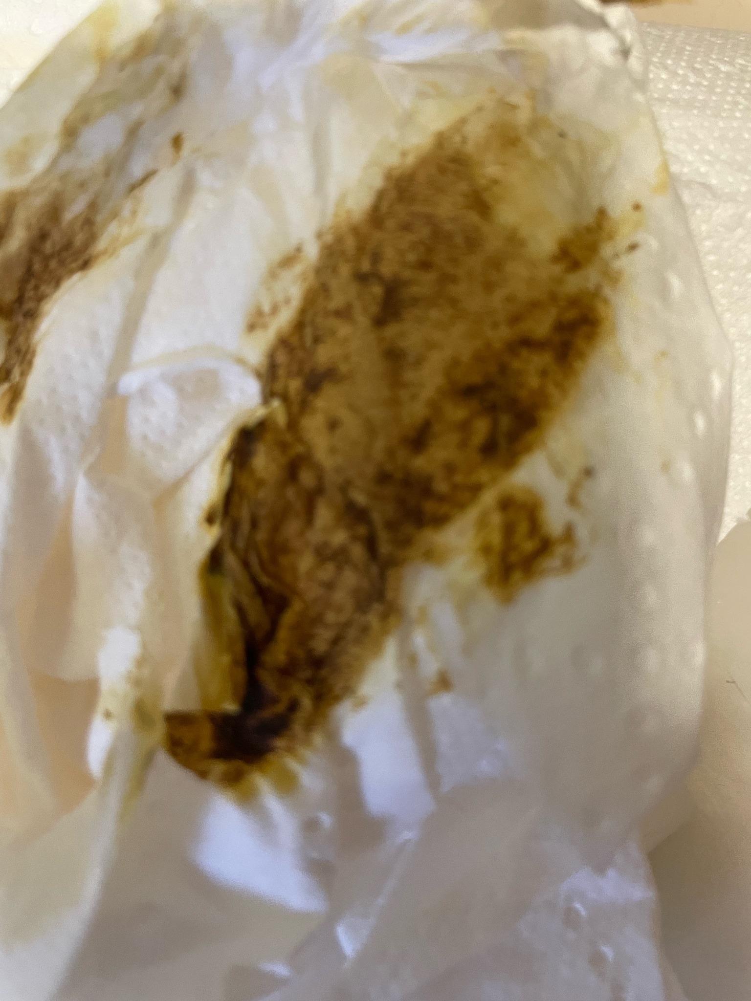 Not an insect / Unidentifiable organic matter