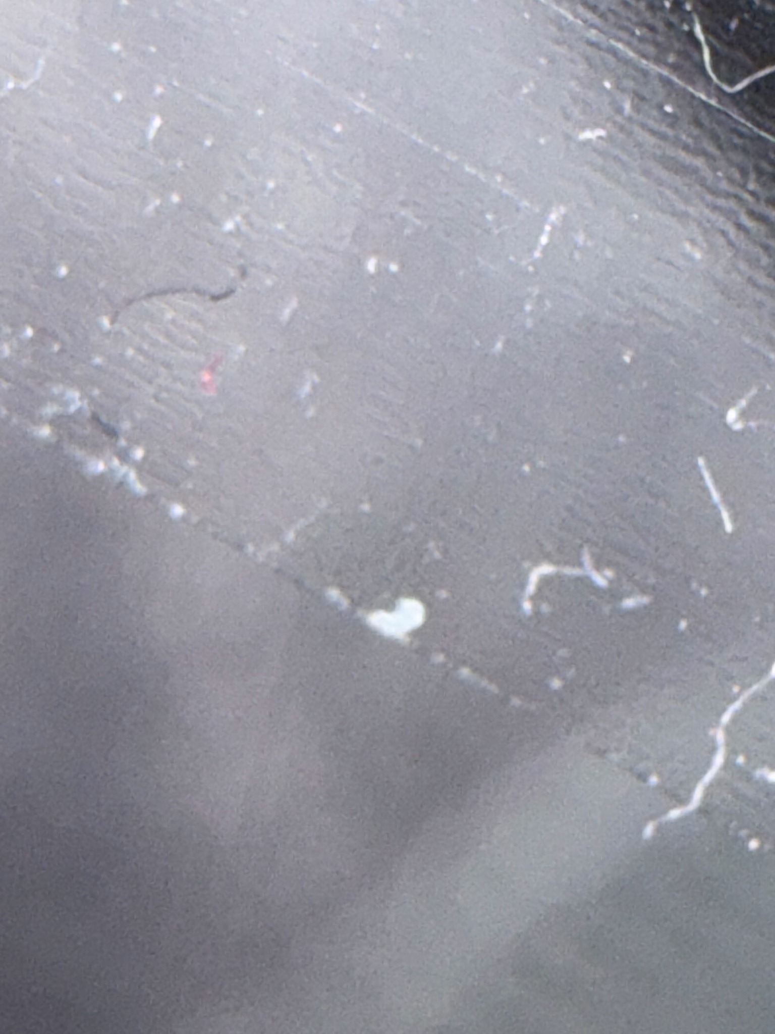 Not identifiable from the image
