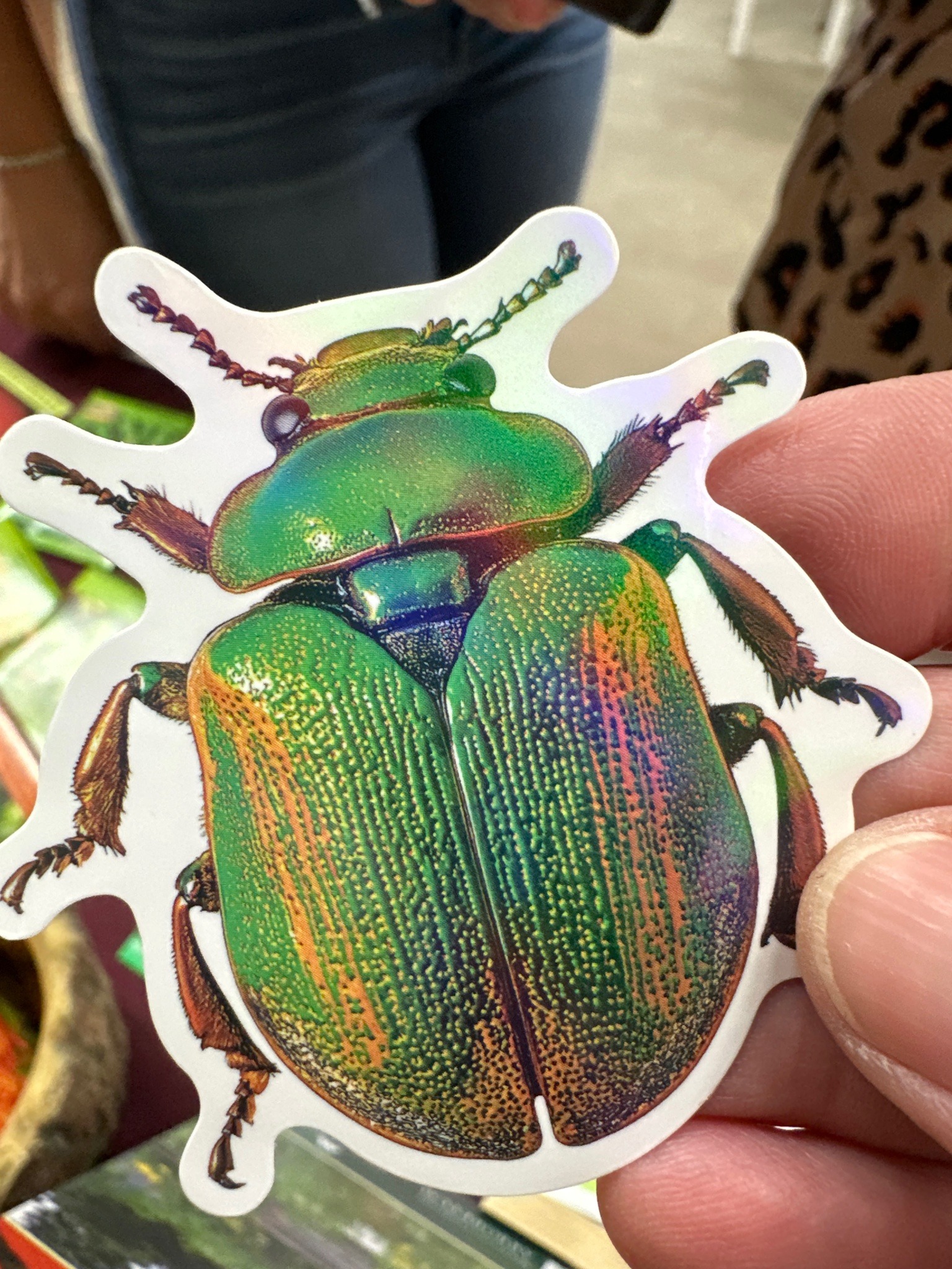 Rainbow scarab