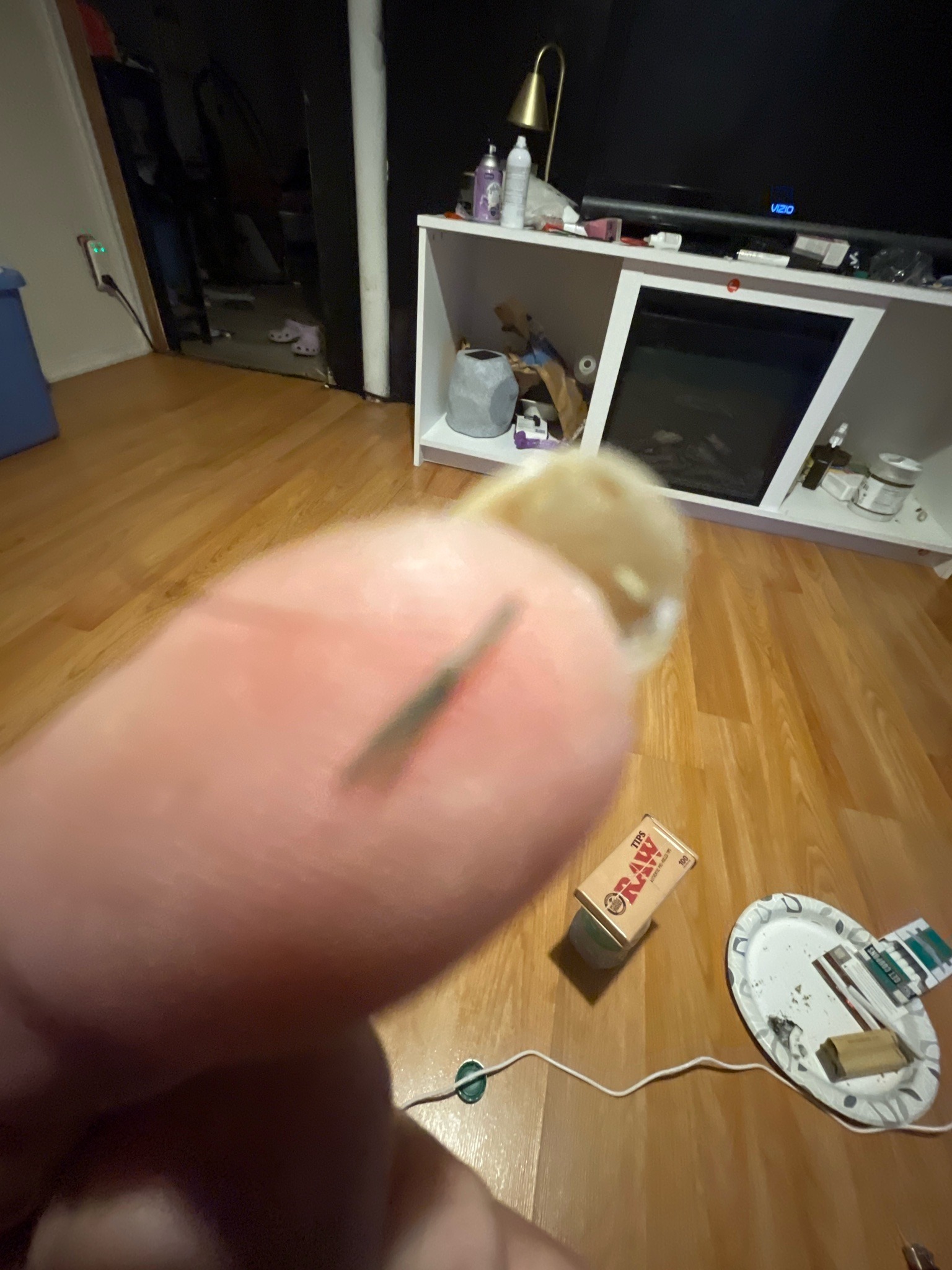 Silverfish