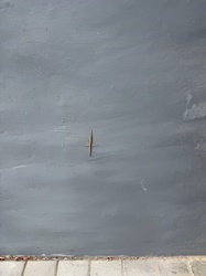 Thread-legged bug (likely a stilt bug)