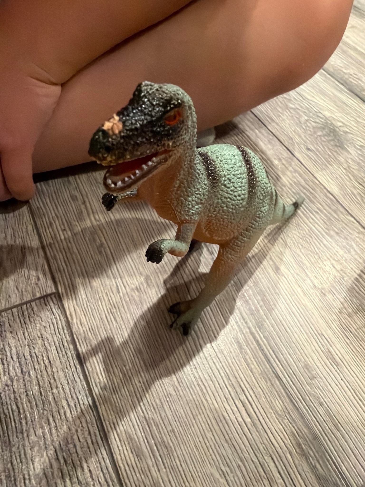 Toy dinosaur (not an insect)