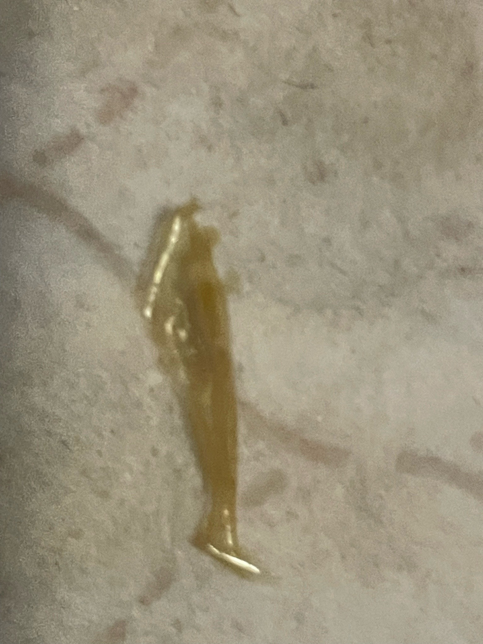 Unable to definitively identify