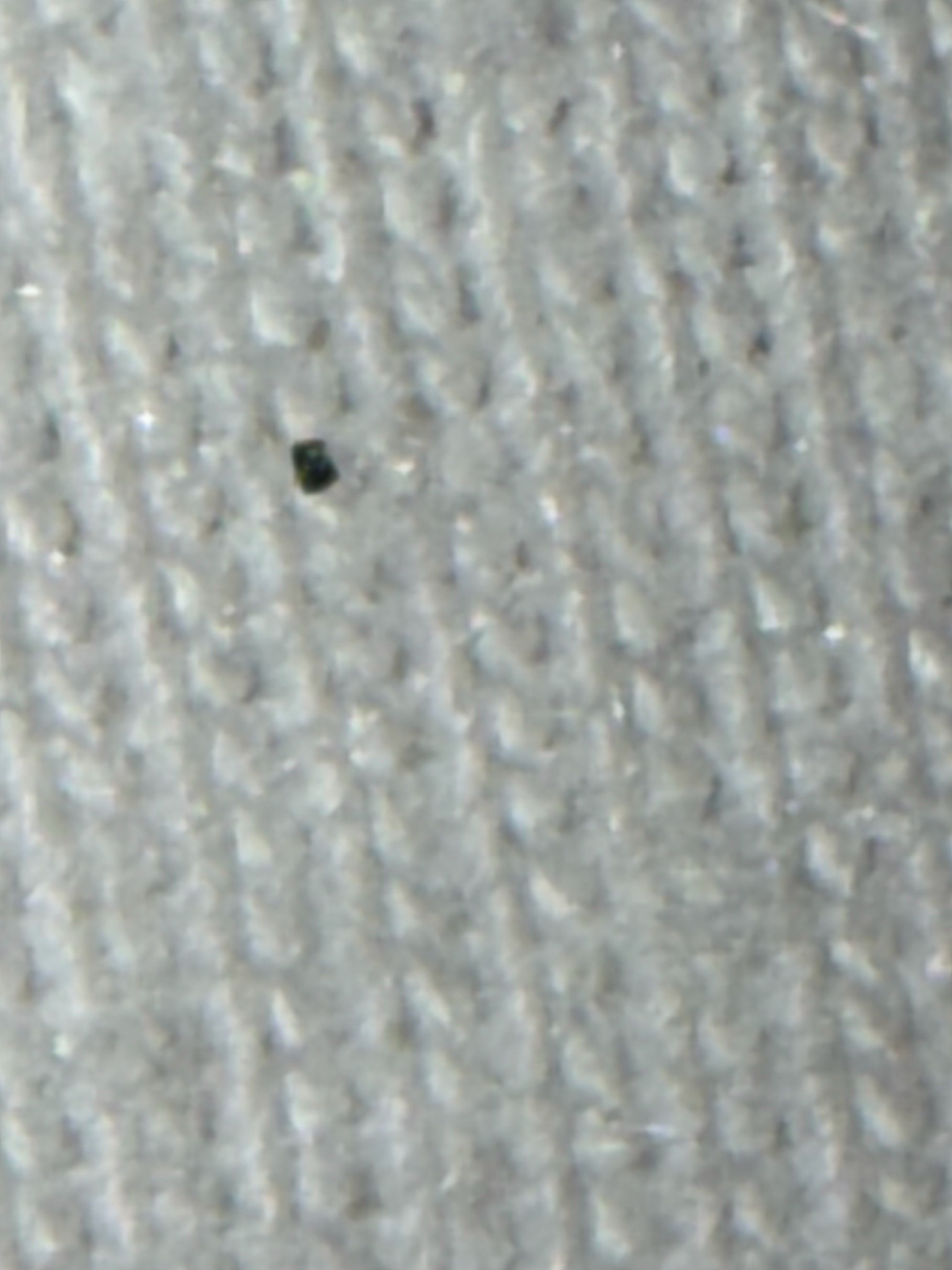 Unable to definitively identify