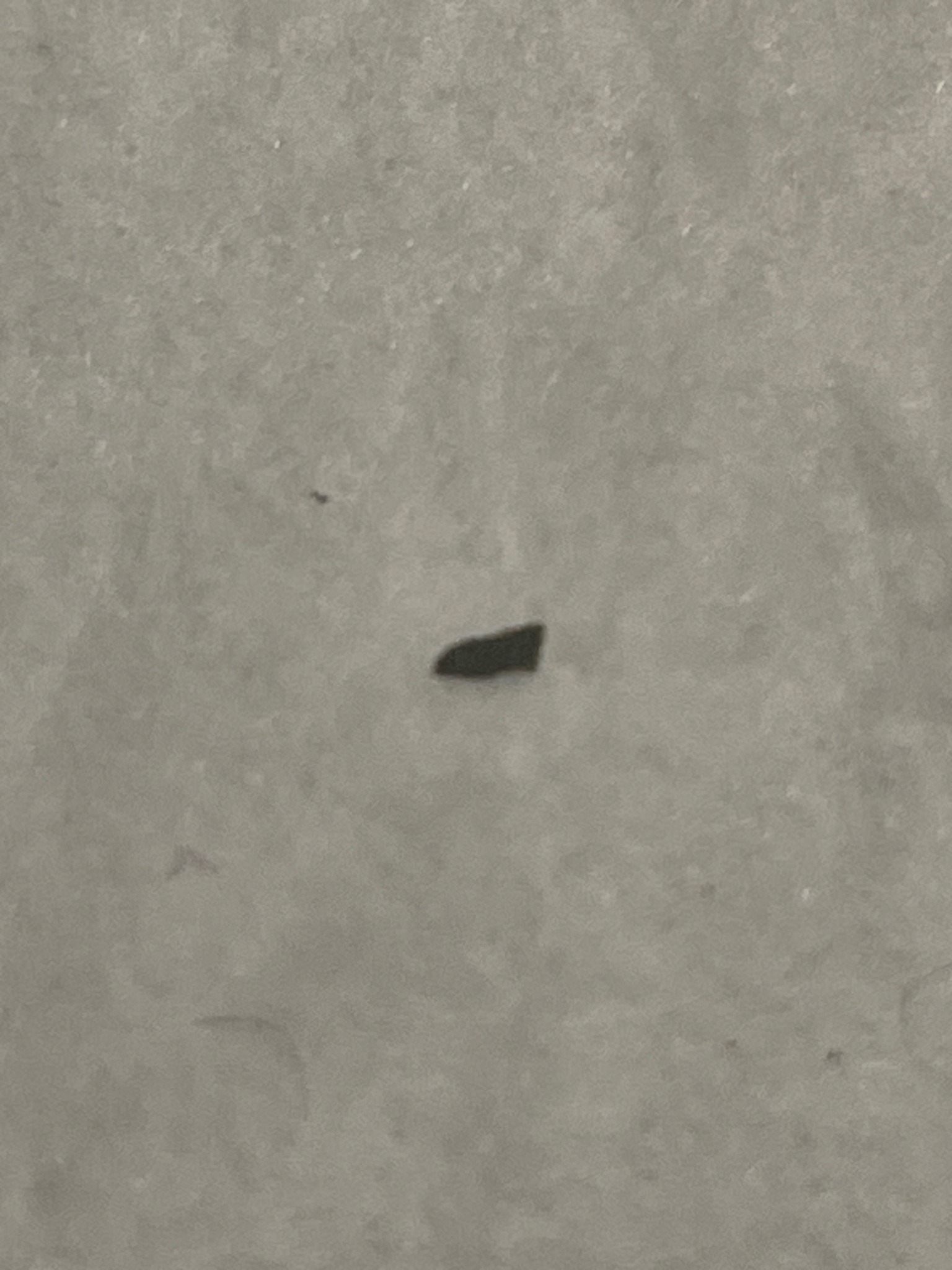 Unable to definitively identify