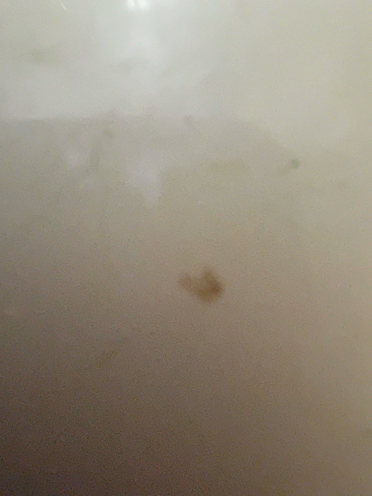 Unable to Identify
