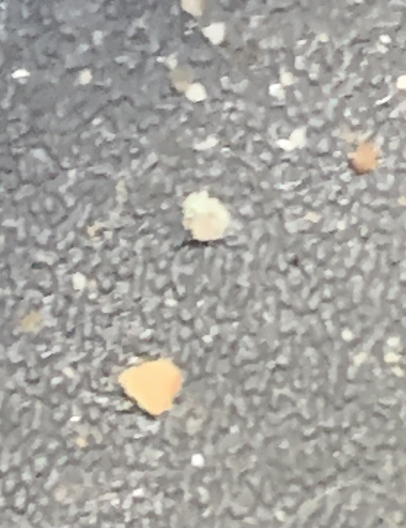 Unable to Identify