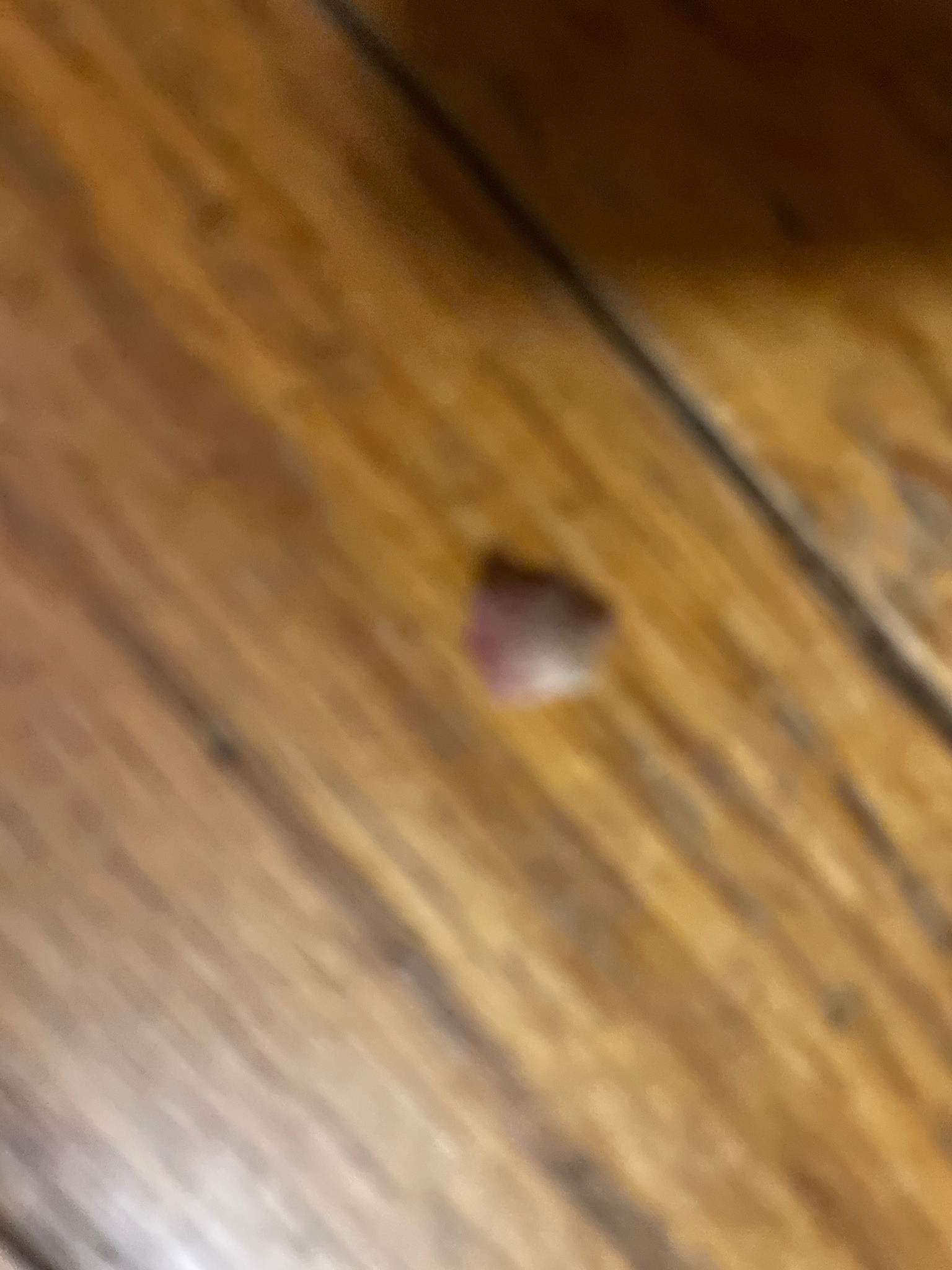 Unable to identify