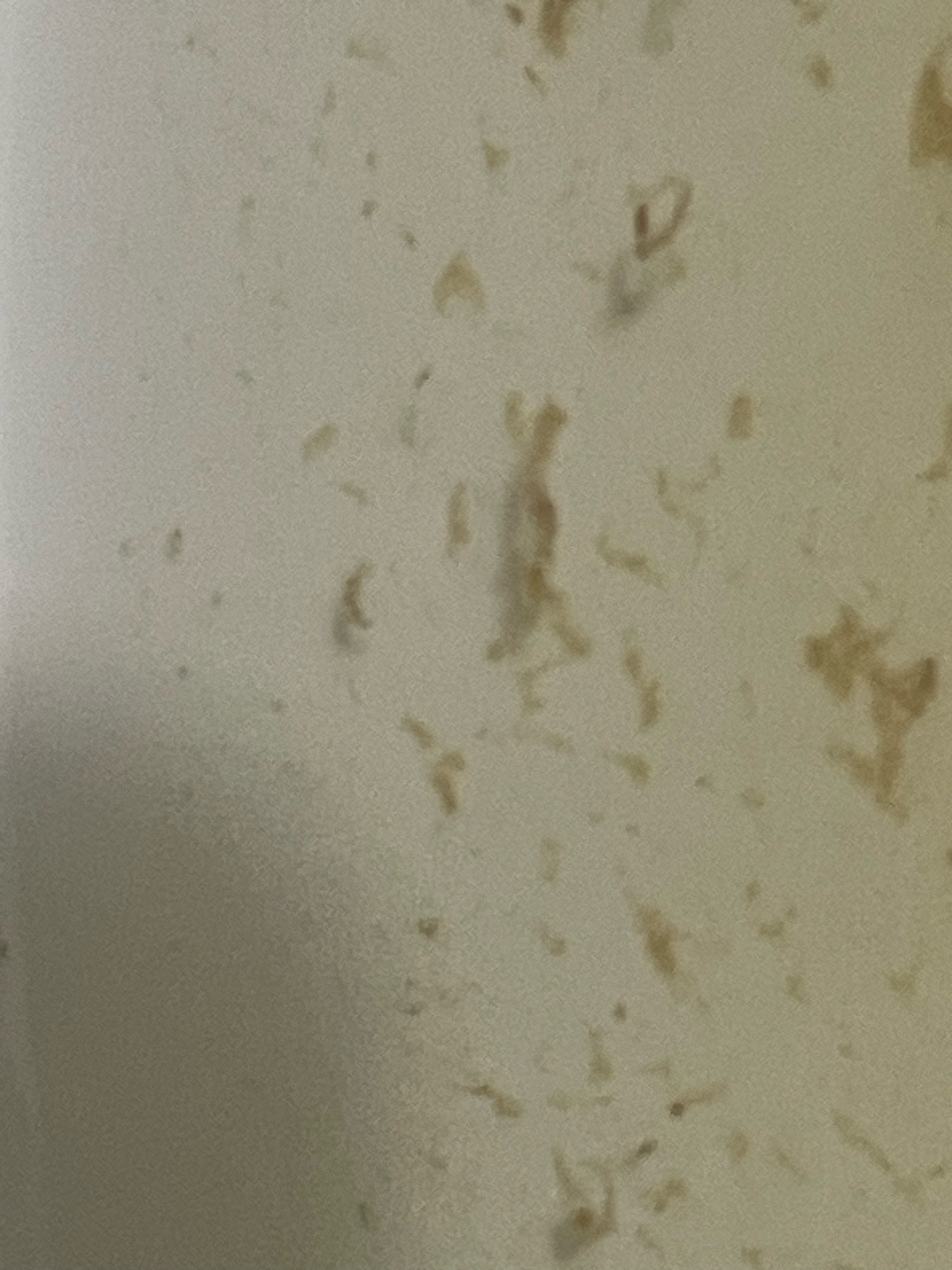 Unable to identify