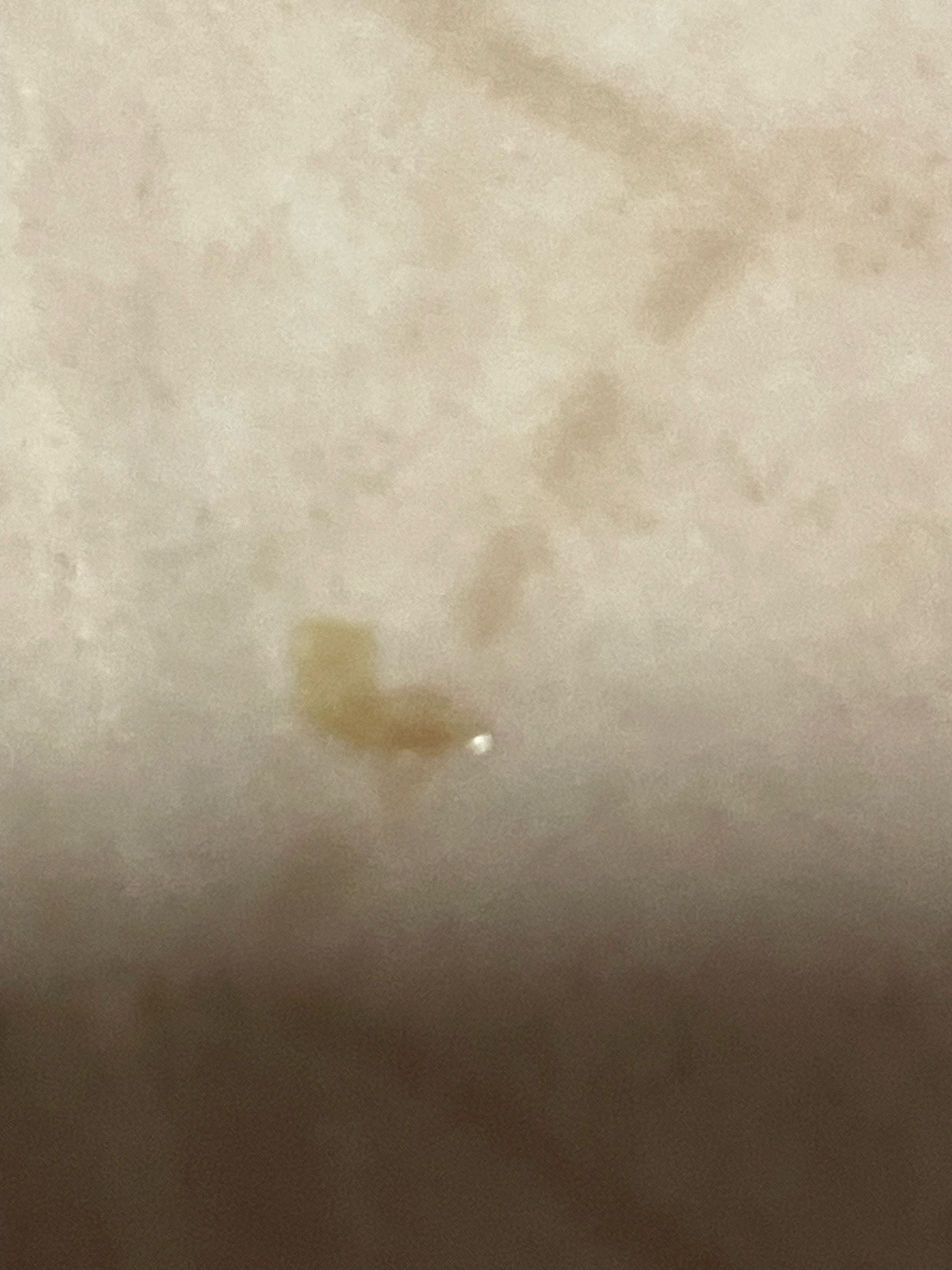 Unable to Identify