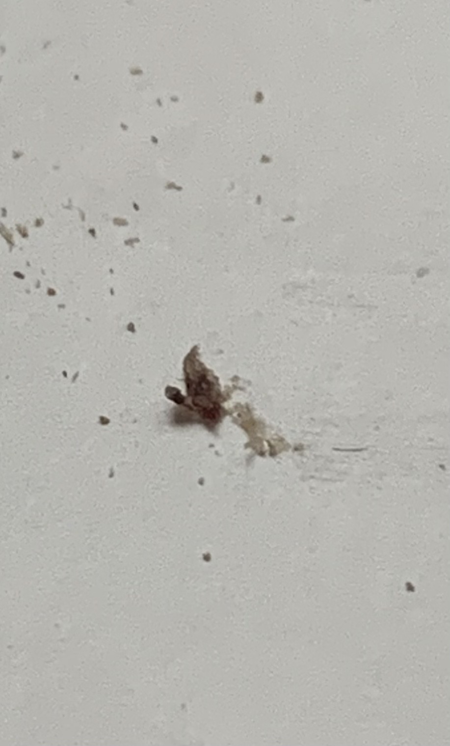 Unable to identify