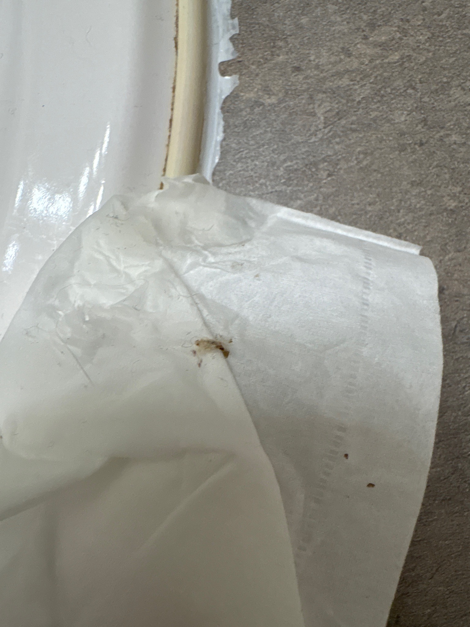 Unclear; possibly a small cockroach nymph