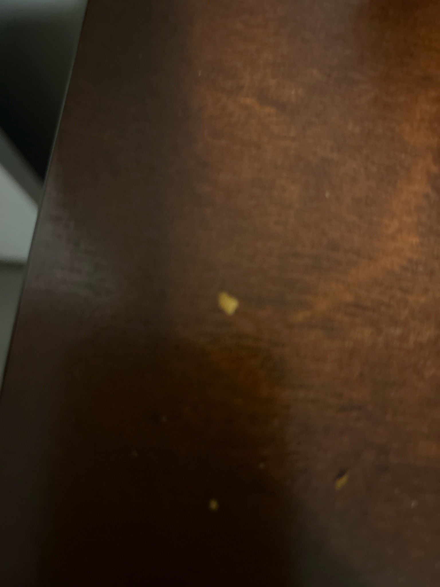Undetermined Grain of Particulate or Insect Fragment