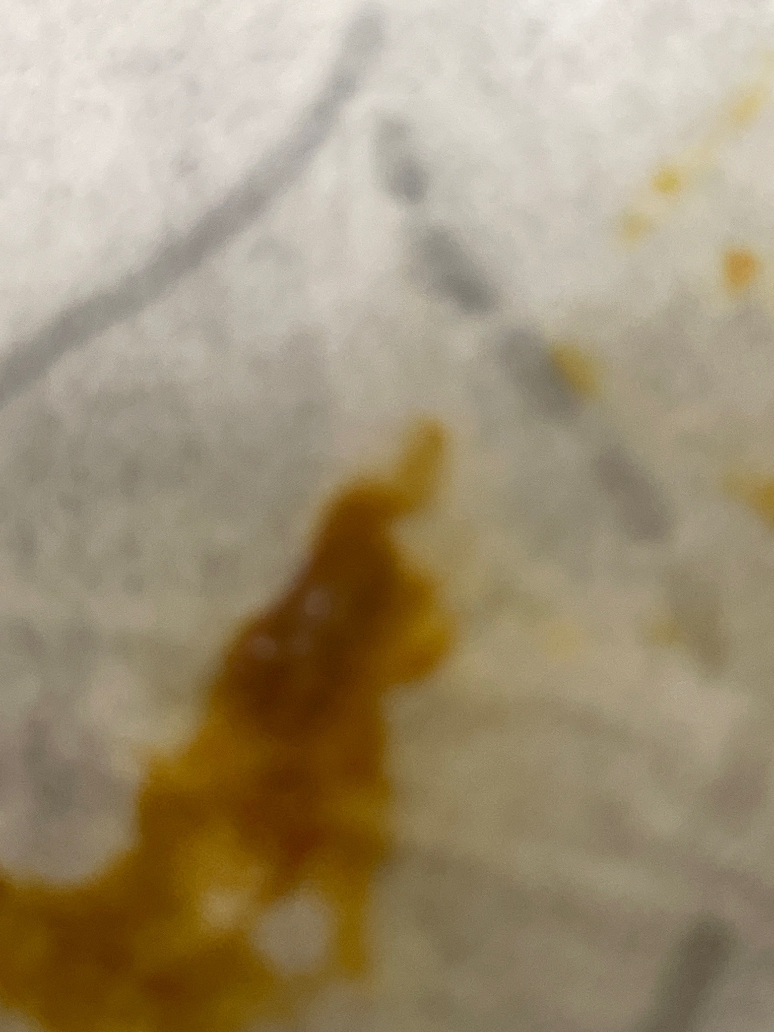 Unidentifiable due to image quality