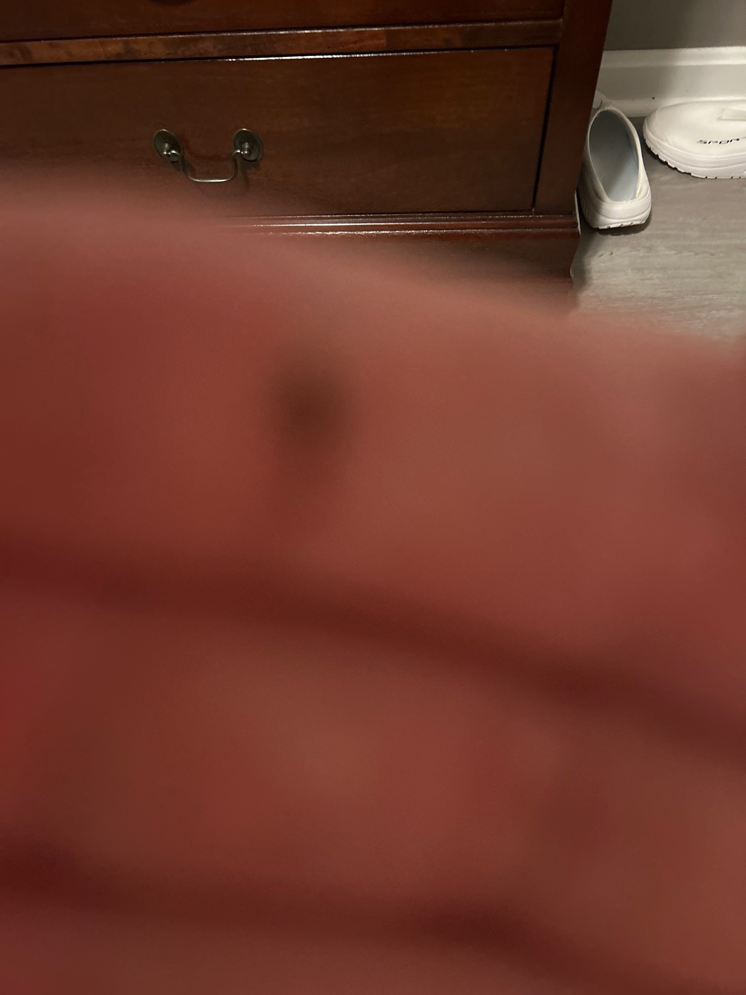 Unidentifiable from the image