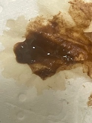 Unidentifiable Liquid / Non-Insect Residue