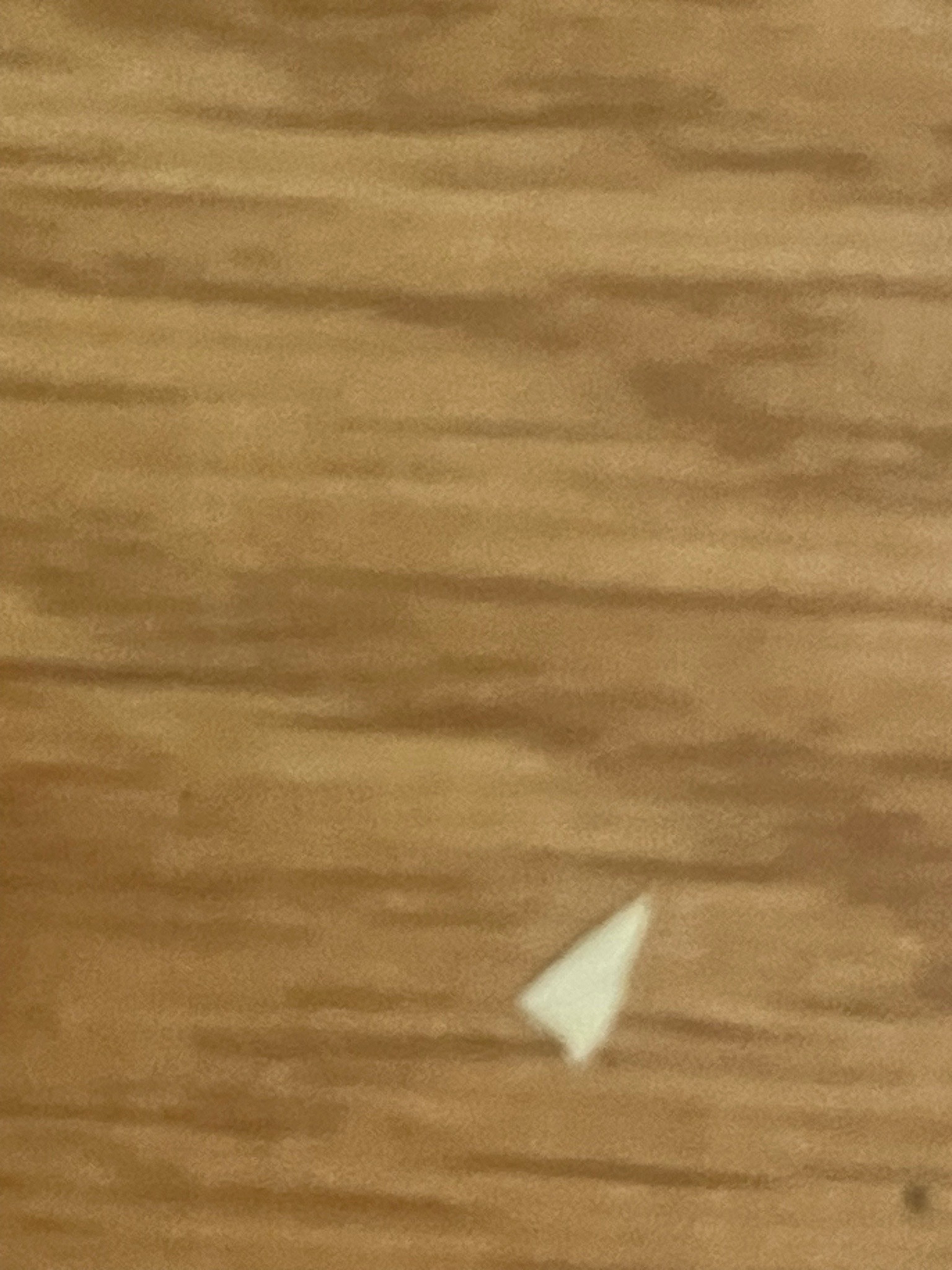 Unidentifiable Object / Moth-like insect