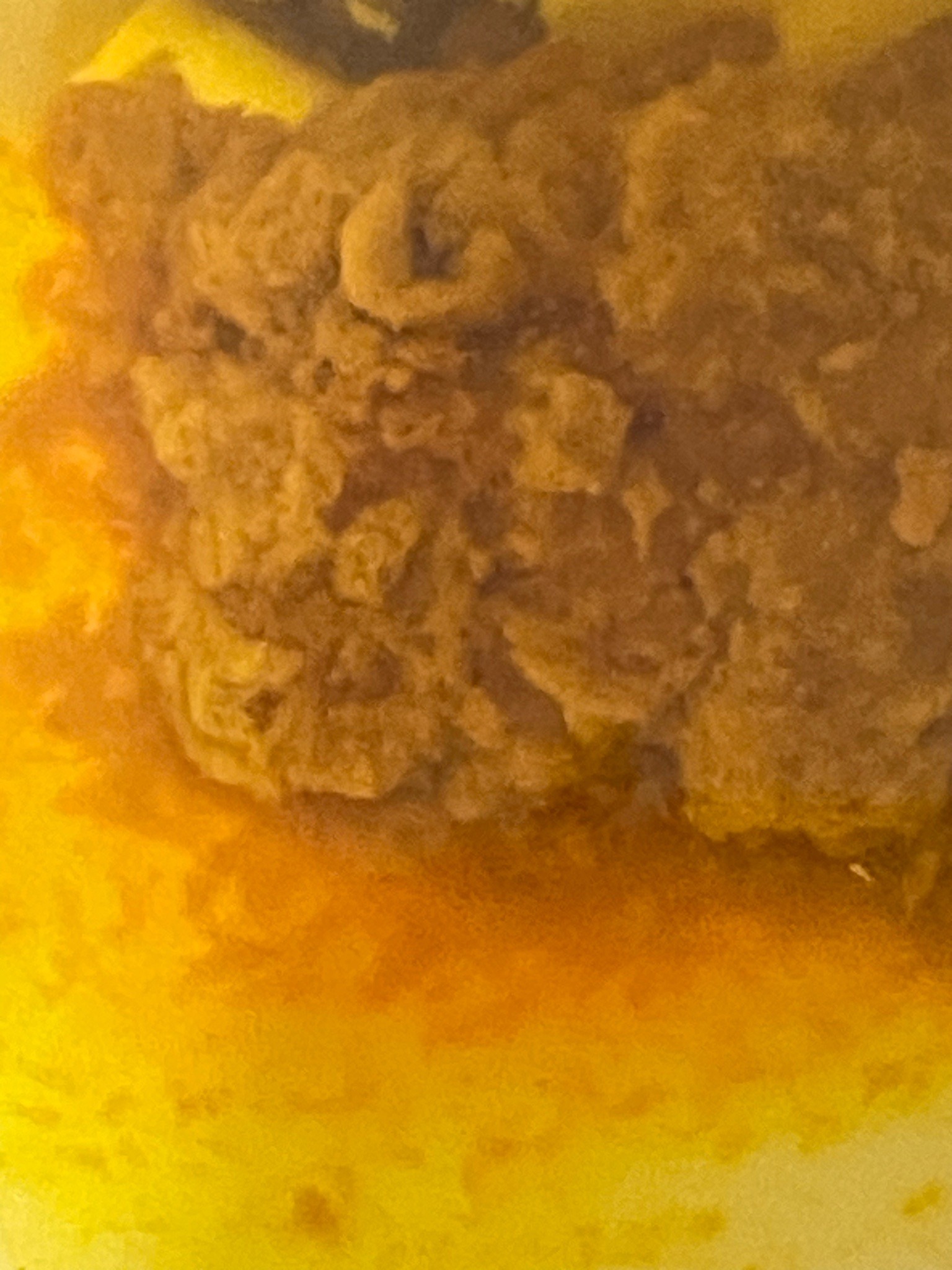 Unidentifiable Object / Non-Insect Residue
