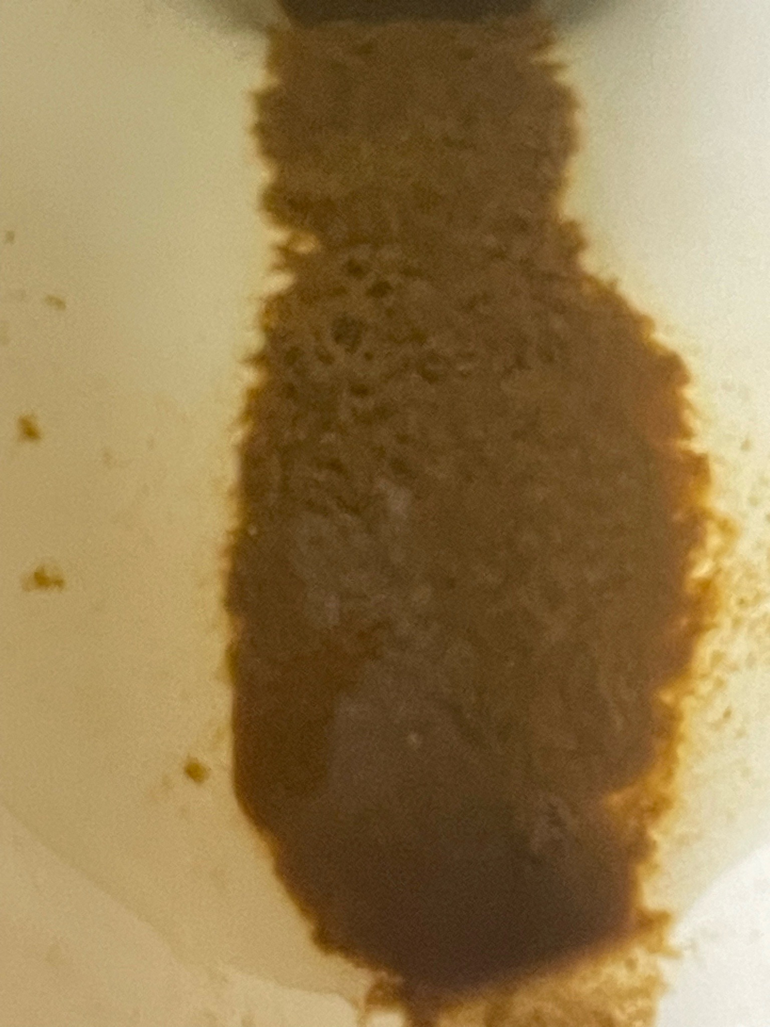 Unidentifiable specimen (appears to be coffee residue or organic sludge)