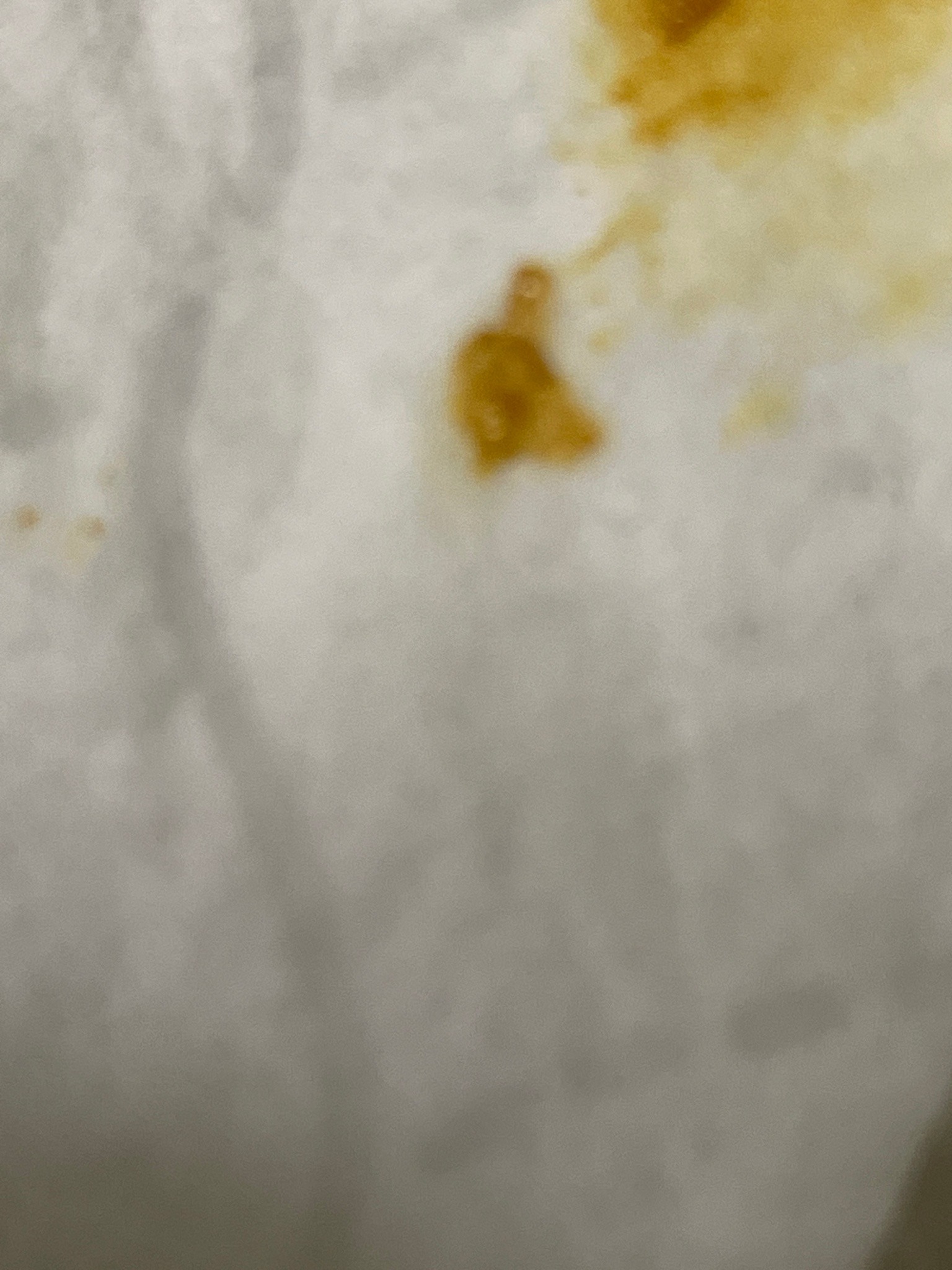 Unknown (Insufficient Image Detail)