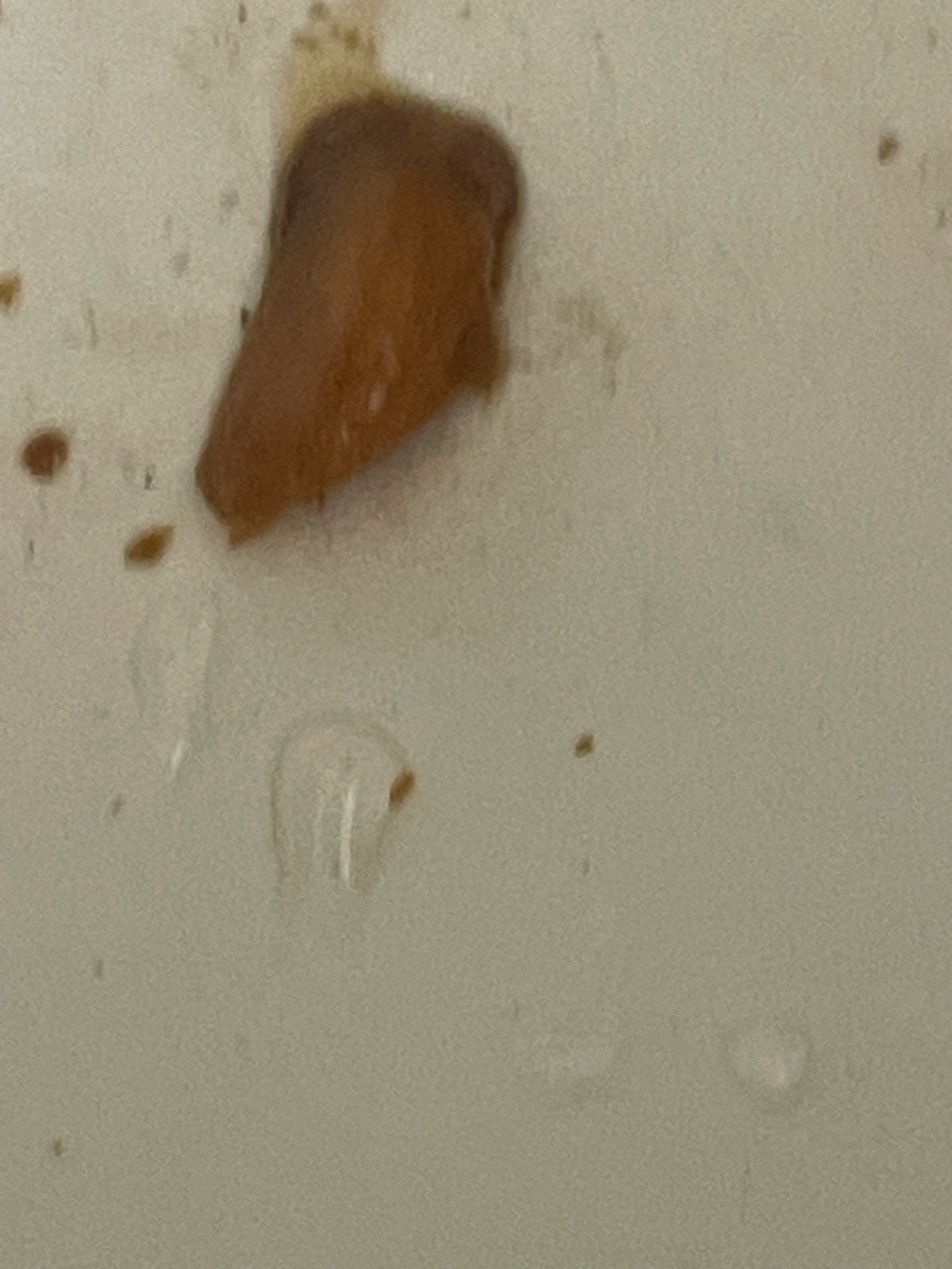 Unknown (Object appears to be non-biological/debris)