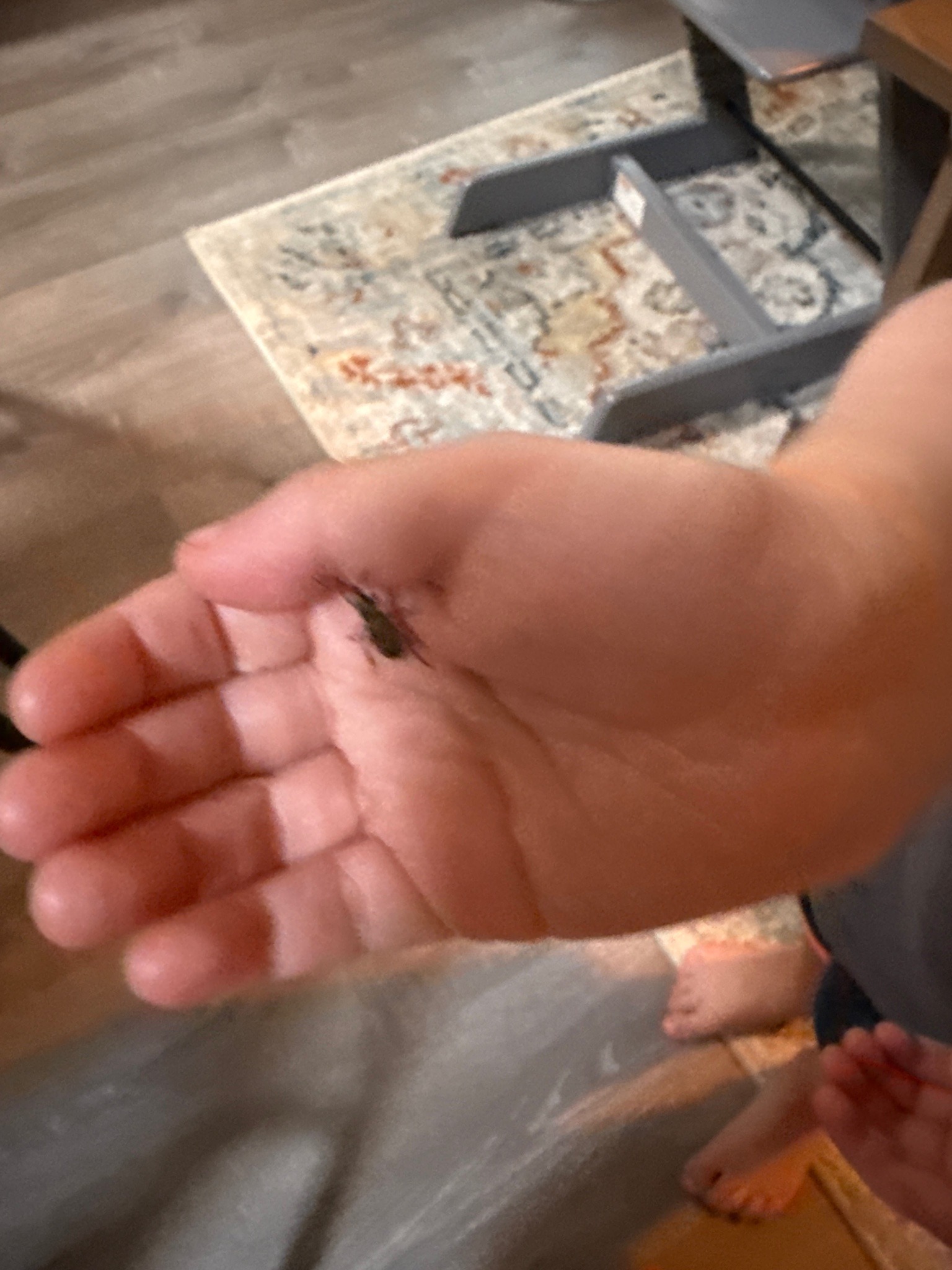 Weevil